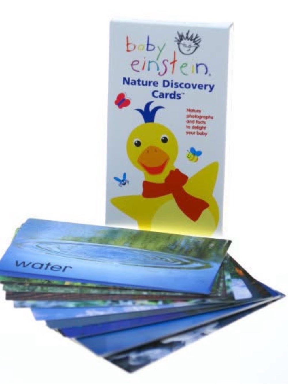 Baby Einstein Nature Discovery Cards 2003 Walt Disney Company 29 cards